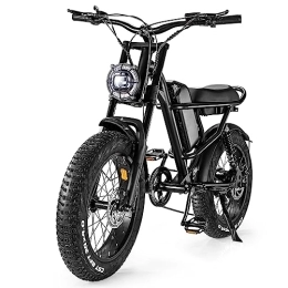 YYKY Electric Bike Electric Bikes for Adults, 20" Fat Tire Electric Bike E Bike with 48V 15.6AH Removable Battery，7 Speed Electric Mountain Bike Snow BikeElectric Dirt Bike, Dual Shock Absorbers, LCD Display, 80 Miles