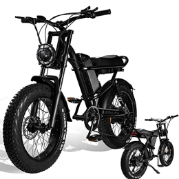 APIWO Bike Electric Motorbike Adult 20x4 48V 15.6Ah Fat Tire Mountain Bike 7 Speed Electric Bicycles for Men e bikes for adults electric