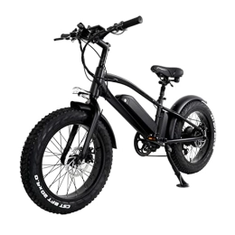 FMOPQ Bike FMOPQ Electric Bike750W Mountain Electric Bicycle 10Ah Lithium Battery 20 Inch Fat Tire Electric Bicycle 45km / h (Color : 750W48V10AH)