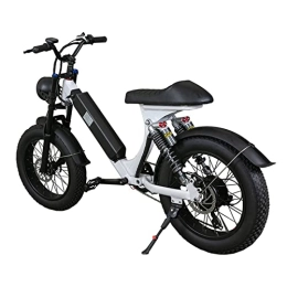 FMOPQ Electric Bike FMOPQ Electric Mountain Bike28 mph 750W Motor 20 Inch Fat Tire with Removable 48V15Ah Lithium Battery Electric Commuter Bicycle