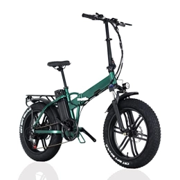 FMOPQ Bike FMOPQ Foldable Electric Bike 1000W Motor 20 inch Fat Tire Electric Mountain Bicycle 48V Lithium Battery Snow E Bike (Color : Green Size : B)