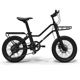 FZYE Electric Bike FZYE 20 Inch Electric Bikes Bicycle, Variable Speed Lithium Battery Bikes with Box Adult Bicycle 5 Gears Assist Outdoor Cycling, Black