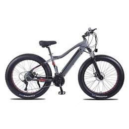 HMEI Electric Bike HMEI EBike 26" Fat Tire Ebike Adults 500W Electric Bicycle with Removable 48V 10AH Lithium Battery 21.7 MPH Snow Beach Mountain E-Bike 27-Speed (Color : 48V 750W)