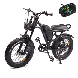 IENYRID Electric Bike iENYRID 20x4.0 Electric Bikes For Adults, Fat Tire Electric Bike with 48V 15.6Ah Removeable Battery, Double Disc Brakes Cruiser Bike, 7 Speed Mountain Dirt Bike, Dual Suspension Snow Bike