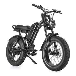 IENYRID Electric Bike iENYRID Electric Bike for Adults with 48V 15.6Ah Battery Electric Mountain Bike with 20'Off-Road Tire, Urban Commuter Electric Bicycle