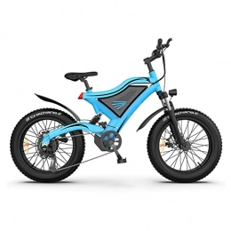 LDGS Bike LDGS ebike Electric Bike For Adults 24.8mp / h 500W Mountain Ebike 48V 15Ah Lithium Battery 20Inch 4.0 Fat Tire Beach City Bicycle (Color : Blue)
