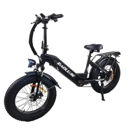 LONG SENG Bike LONG SENG electric bicycle, 20" x4.0 fat tire electric bicycle, 48V 12AH lithium ion battery commuter electric bicycle and 7-speed adult electric bicycle have passed UL GCC certification (Black)