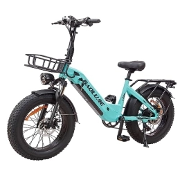 LONG SENG Bike LONG SENG electric bicycle, 20" x4.0 fat tire electric bicycle, 48V 12AH lithium ion battery commuter electric bicycle and 7-speed adult electric bicycle have passed UL GCC certification (Blue)