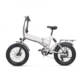 LQH Electric Bike LQH 20 inches of snow bicycle electric 500W folded mountain bike, with the rear seat and disc brakes, with 48V 12.8AH lithium battery (Silver)