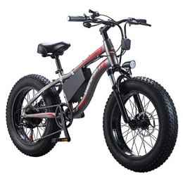 LYGID Electric Bike LYGID Electric bicycle 36V 250W 8AH Mens Mountain Ebike 7 Speeds 26 inch Fat Tire Road Bicycle Snow Bike Pedals with Disc hydraulic Brakes and Suspension Fork (Removable Lithium Battery)
