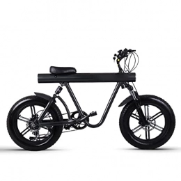 LIU Bike Men Electric Bike Fat Tire 20 Inch Mountain Electric Bicycles for Adults 750w High Speed Motor 48v Lithium Battery E Bike (Color : Black)