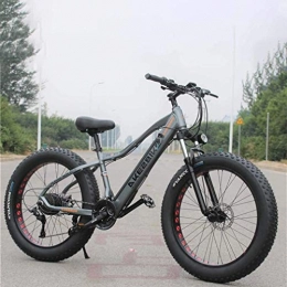 QZ Bike QZ Adult Fat Tire Electric Mountain Bike, 350W Snow Bikes, Portable 10Ah Li-Battery Beach Cruiser Bicycle, Lightweight Aluminum Alloy Frame, 26 Inch Wheels (Color : Grey, Size : 21 speed)