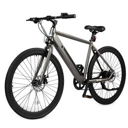 Rymic Electric Bike Rymic Infinity 26'' Electric City Bike, Dual Torque Sensor with Removable Lithium Battery for Adults, 250W Motor 21 Speed Shifter Electric Bicycle with LCD Meter (Galaxy Grey)