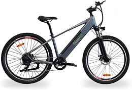 SachsenRad Electric Bike SachsenRad E-Bike R8 Flex Bike | 27.5 Inch 250 W Motor, 36 V / 8 Ah Lithium Battery, 25 km / h, Shimano 7-Speed Gears, Disc Brakes, LED Display, Kenda Tyres, Front Light with StVZO Certified | Grey