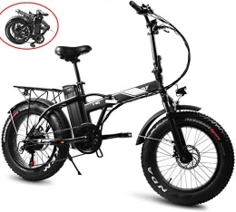 Thole Electric Bike Thole Folding Electric Bike 20 Inch Electric Bicycle with Dual Disc Brakes 48V / 8Ah Removable Lithium-Ion Battery bike Suitable for Adults