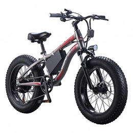 Wheel-hy Bike Wheel-hy 20" Electric Mountain Bike Bicycle E-Bike Fat Tire 17MPH Max Speed with Removable 36V 350W 10.4Ah Lithium Battery, Charger and Shimano Speed Shifter