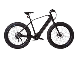 Witt E-Sumo Electric Fat Bike, Powerful E-Bike in Nordic Slim Design with Powerful 36 V/11.6Ah, Lithium Panasonic 417,6 W in Frame Battery, Shimano Xt 10 Speed Gear, Front Suspension, 250 W Mid Motor