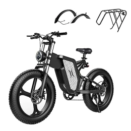 DEEPOWER  X20 Electric Bicycle, 250W Motor, 20" x 4.0 Fat Tire Electric Bike for Adults, 48V 20AH Removable Battery, 25KM / H, Snow Beach Mountain E-Bike with Dual Hydraulic Shock Absorber & Pedal Assist