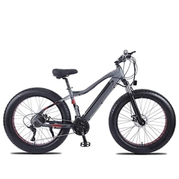 YZT QUEENS Bike YZT QUEENS Electric Bike 26" 4.0 Off-Road Fat Tire E-Bike 48V 10Ah Removable Hidden Lithium Battery 750W Motor 27 Speed Adult Electric Mountain Bike, Gray