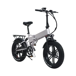 ZYLEDW Electric Bike ZYLEDW Electric Bike Foldable 2 Seat for Adults Electric Bicycle 800w 48v Lithium Battery 4.0 Fat Tire Folding E Bike (Color : Gray)