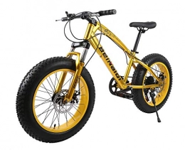 Bike Fat Tyre Bike BIKE Mountain Bike, Fat Bicycles - 26 Inch, Dual Disc Brakes, Wide Tires, Adjustable Seats Pink-24Speed, 21Speed