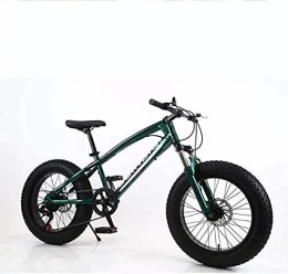WJSW Bike Fat Tire Mens Mountain Bike, Double Disc Brake / High-Carbon Steel Frame Bikes, Beach Snowmobile Bicycle, 24 inch Wheels