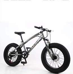 WJSW Bike Fat Tire Mens Mountain Bike, Double Disc Brake / High-Carbon Steel Frame Bikes, Beach Snowmobile Bicycle, 26 inch Wheels