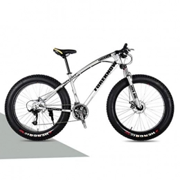 Langlin Fat Tyre Bike Langlin 24" Mountain Bike Bicycle Comfort Fat Tire Bikes Beach Snow All Terrain Bike Variable Speed Bicycle High Carbon Steel Frame Double Disc Brake, silver, 24 inch 7 speed