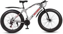 Leifeng Tower Fat Tyre Bike Leifeng Tower Lightweight， Mens Adult Fat Tire Mountain Bike, Bionic Front Fork Cruiser Bicycle, Double Disc Brake Beach Snow Bikes, 26 Inch Wheels Inventory clearance (Color : B, Size : 24 speed)