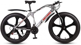 QZ Bike QZ Mens Adult Fat Tire Mountain Bike, Bionic Front Fork Snow Bikes, Double Disc Brake Beach Cruiser Bicycle Wheels (Color : B, Size : 24 speed)