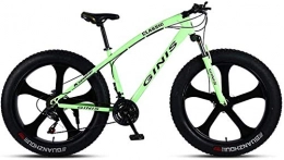 WYJBD Bike WYJBD Fat Tire Mountain Bike Off-road Beach Snow Bike 21 / 24 / 27 / 30 Speed Speed Mountain Bike 4.0 Wide Tire Adult Outdoor Riding (Color : E, Size : 30 Speed)