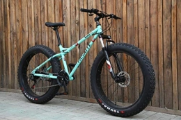 XZM Mountain bike 4.0 fat tire mountain bicycle 24/26 inch high Steel beach bicycle snow bike,26 inch green,24 speed