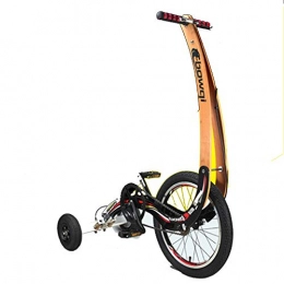 WQY Bike Tricycle Sports Bike without Seat Standing Light Folding Dynamic Cycling Lose Weight Bicycle Burn Fat Pedicab