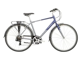 Raleigh Hybrid Bike Raleigh - PNT17MT - Pioneer Tour 700c 21 Speed Men's Hybrid Bike in Blue / Silver Size Small