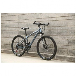 Chenbz Bike Chenbz Outdoor sports ForkSuspension Mountain Bike with 26Inch Wheels, HighCarbon Steel Frame, Mechanical Disc Brakes, And 2130 Speeds Drivetrain (Color : Grey, Size : 24 Speed)