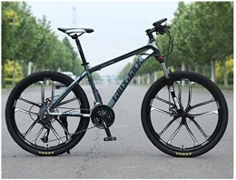 Chenbz Bike Chenbz Outdoor sports MTB Front Suspension 30 Speed Gears Mountain Bike 26" 10 Spoke Wheel with Dual Oil Brakes And HighCarbon Steel Frame, Gray