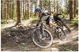 Aoyo Bike Mountain Bikes, 26inch 21-Speed, Bike Dual Disc Brake Hardtail, Adult All Terrain Mountain Bike, Adjustable Seat & Handlebar (Color : 26 Inches Black)