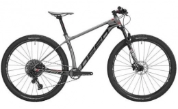 Deed Mountain Bike Vector Pro 291 29 Inch 39 cm Men 12SP Hydraulic Disc Brake Grey