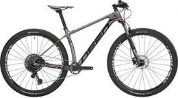 Deed Mountain Bike Vector Pro 291 29 Inch 44 cm Men 12SP Hydraulic Disc Brake Grey