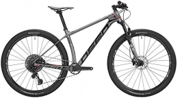 Deed Mountain Bike Vector Pro 291 29 Inch 48 cm Men 12SP Hydraulic Disc Brake Grey