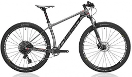 Deed Mountain Bike Vector Pro 292 29 Inch 39 cm Men 12SP Hydraulic Disc Brake Grey