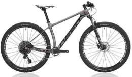Deed Bike Vector Pro 292 29 Inch 44 cm Men 12SP Hydraulic Disc Brake Grey