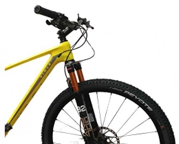 Viola bike MTB Cross Fit 29er Carbon (size 17"M)