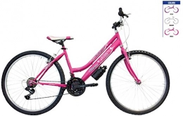 Cycles Europe Women Faema MTB 2618V. Different Colours