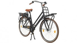 LLobe  Llobe Electric Bicycle / Holland Rose Ndaal Lady, 283G Rack 28cm (28Inch)
