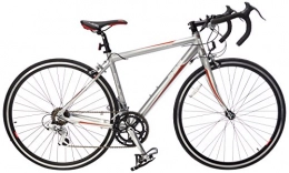 Raleigh  Raleigh Men's Equipe Road - Silver, 47 cm