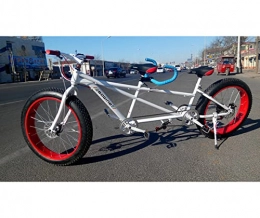 Generic Tandem Bike Lanying Two Seater Fat Tire 26in Single Speed Steel Tandem Bicycle NEW
