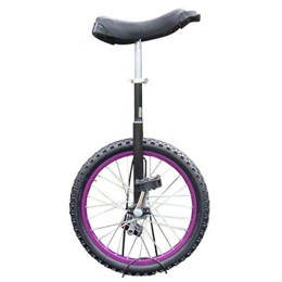 Lhh Bike 20in Adult's Trainer Unicycle，One Wheel Bike with Alloy Rim for Unisex Adult / Big Kids / Mom / Dad with Height of 1.65m - 1.8m, Load 150kg (Color : Purple)