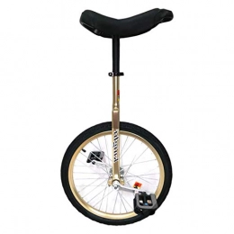 AHAI YU Bike 24" Wheel Unisex Unicycle For Short / Medium / Tall Adults, Teens, Juggling Cycling Bike With Alloy Rim, Balancing Exercise Outdoor Sports (Color : GOLD, Size : 24IN WHEEL)