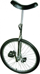 Acclaim Unicycles Acclaim Action Unicycle 24X1.75In. Chrome